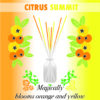 Citrus Summit Blooming Stick Diffuser Label