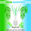 Label of Blooming Stick Fresh Rainforest in Green and Blue