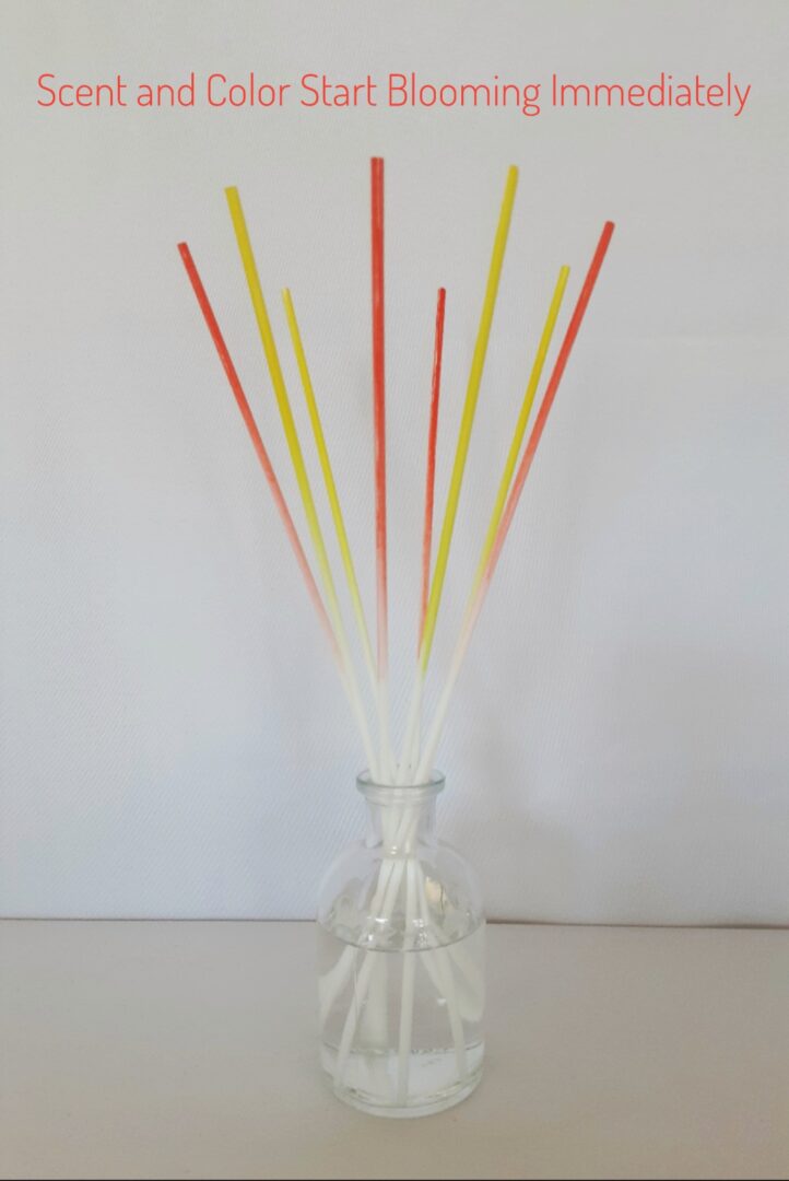 Citrus Summit Blooming Stick Reed Diffuser One