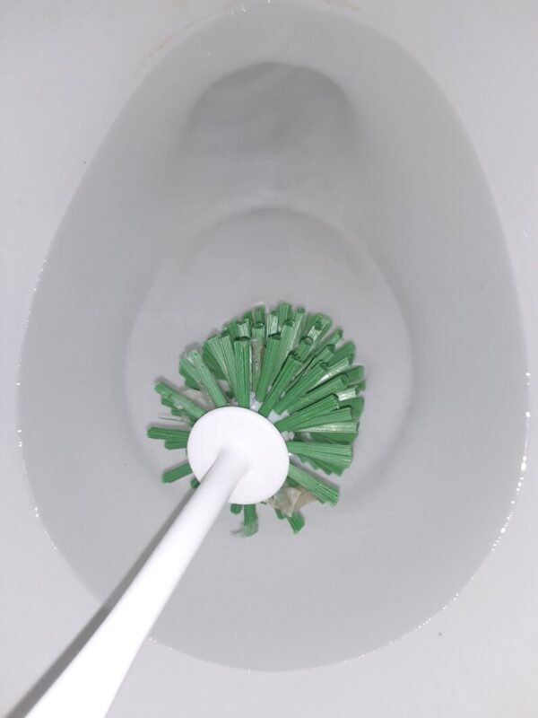 A green brush is in the bowl of a toilet.